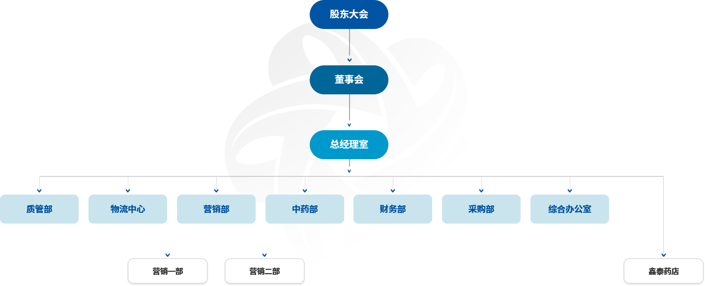 组织架构